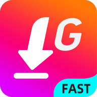 Insta Downloader